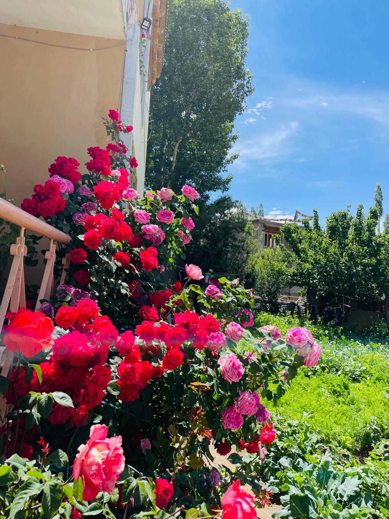 Zlatan Guest House Λεχ Εξωτερικό φωτογραφία